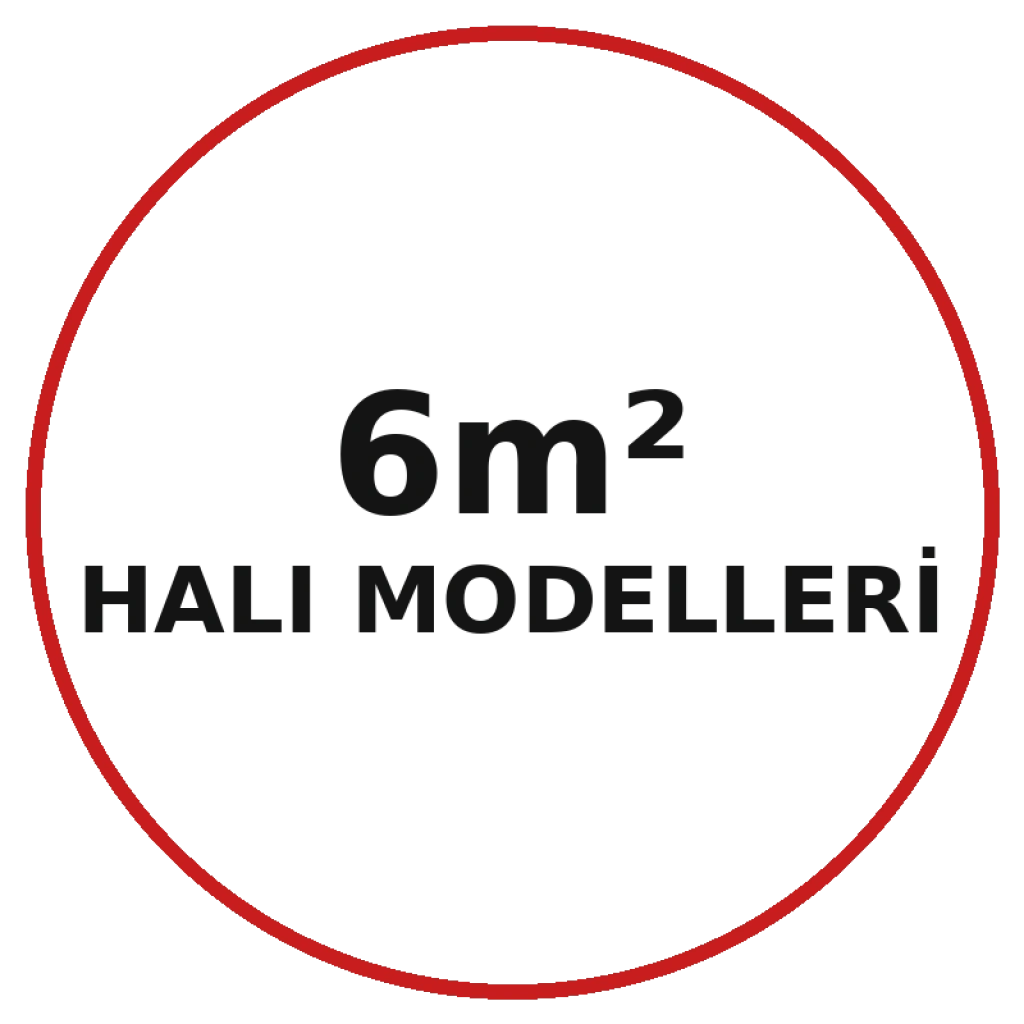 6m2 Halı Modelleri
