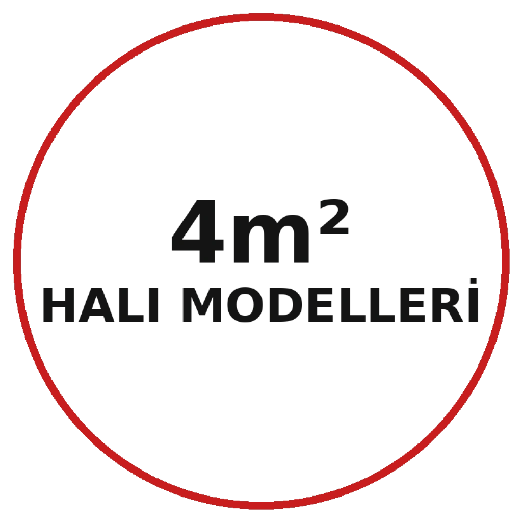 4m2 Halı Modelleri