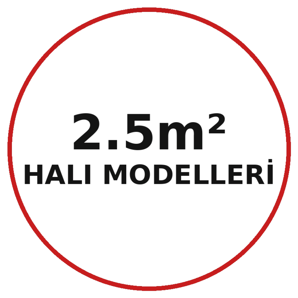 2.5m2 Halı Modelleri