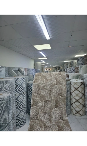 Dinarsu D010 Bej Halı | Spiral Daire Dokulu Modern Halı