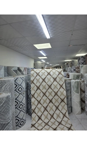 Dinarsu D009 Beyaz-Kahve Halı | Baklava Ağ Desenli Modern Halı