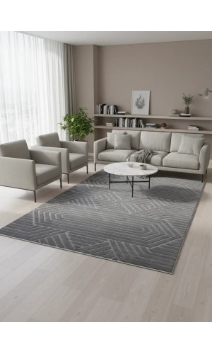 Excellence Level EN140P Antrasit Geometrik Salon Halısı 150x220 - Çerçeveli Desen Saçaklı