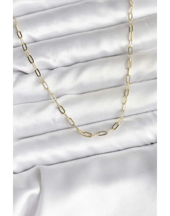 14K Gold Renk Kaplama Ataç Zincir Model CM Kadın Kolye