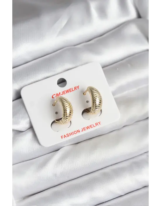 14K Altın Kaplama Burgu Sarmal Model Çelik Kadın Küpe