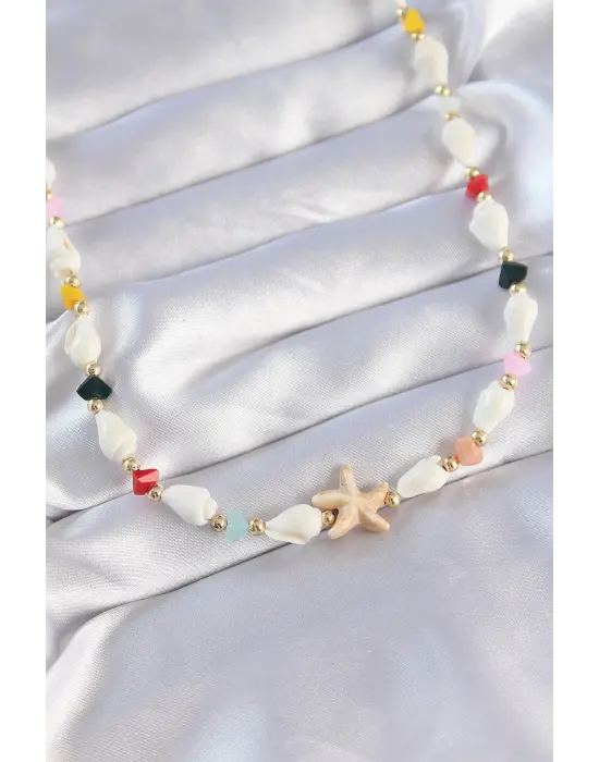  Deniz Kabuğu Tasarımlı li Zirkon Taşlı Deniz Yıldızı Çelik Kolye