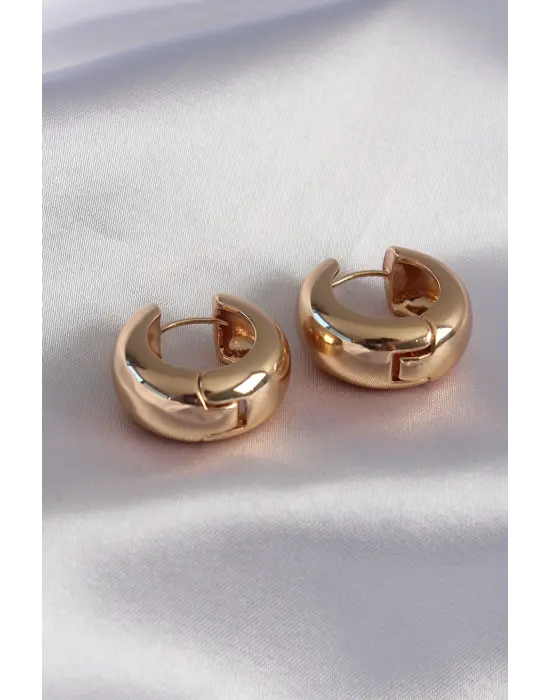 316L Çelik Gold Renk Halka Model Kadın Küpe