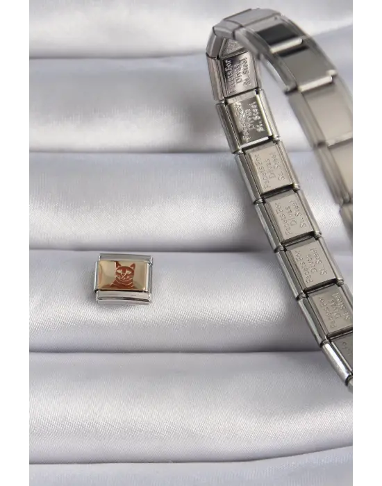 316L Çelik Gümüş Renk Gold Renk Kedi İşlemeli Nomination Charm