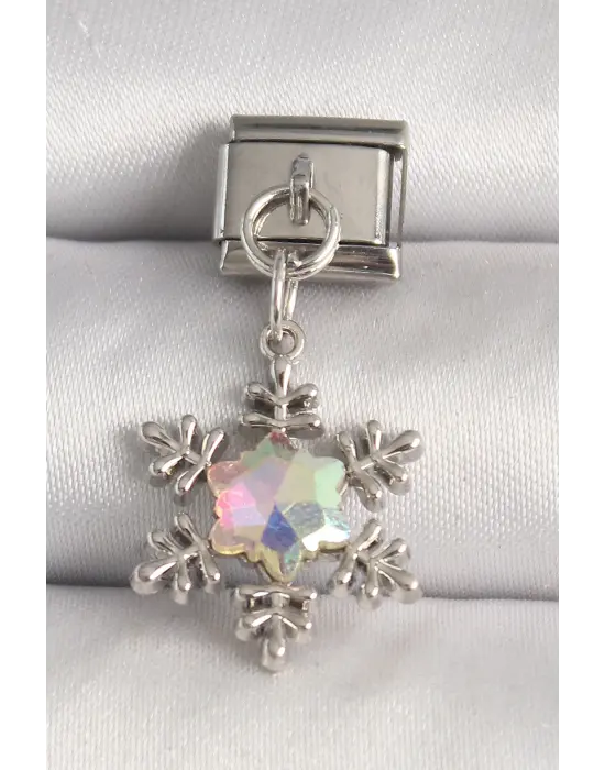 316L Çelik Gümüş Renk Hologram Mineli Kar Tanesi Model Nomination Charm