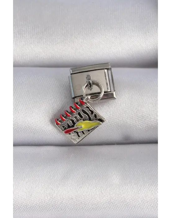 316L Çelik Gümüş Renk Sallantı Defter Figür Nomination Charm