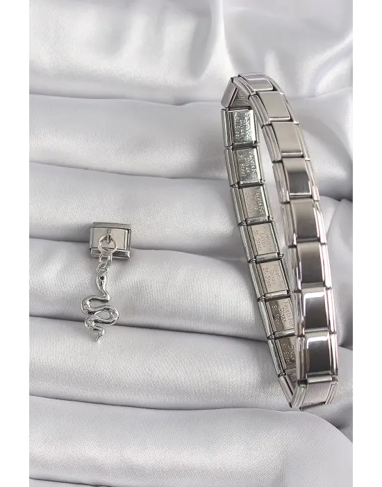 316L Çelik Gümüş Renk Sallantı Yılan Model Nomination Charm