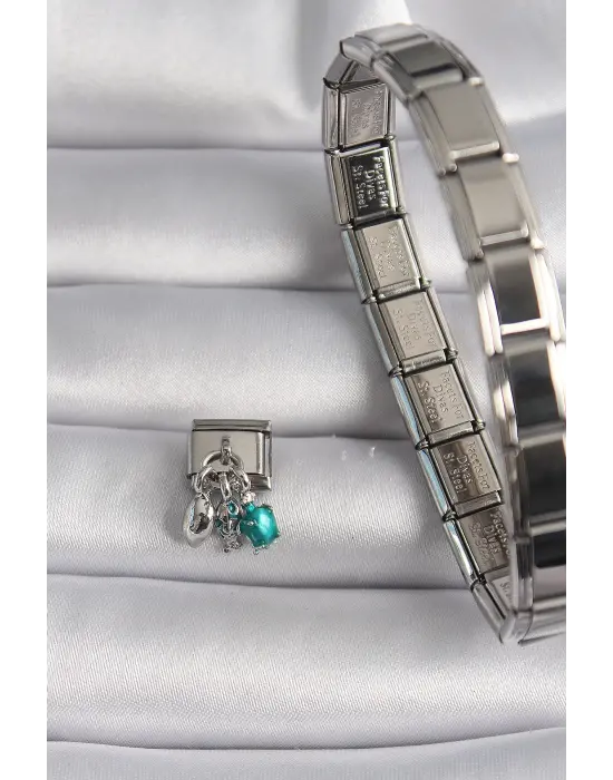 316L Çelik Gümüş Renk Yeşil Kaplumbağa Model Nomination Charm