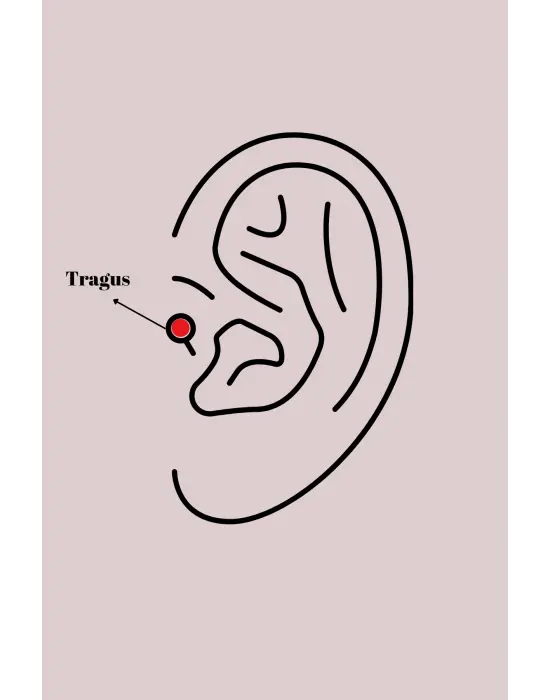 316L Çelik Gümüş Renk Zirkon Taşlı Çiçek Model Tragus Piercing