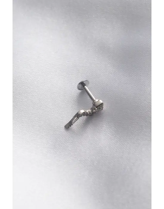 316L Cerrahi Çelik 6 mm Gümüş Renk Yılan Tragus Piercing