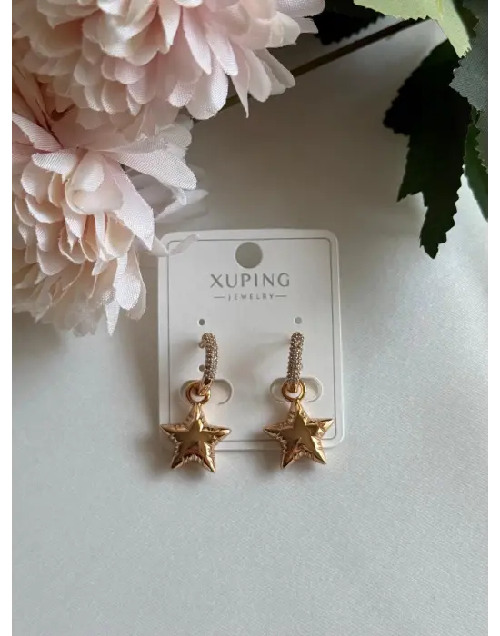 Sallantılı Üstü Halka Altı Yıldız Model Küpe