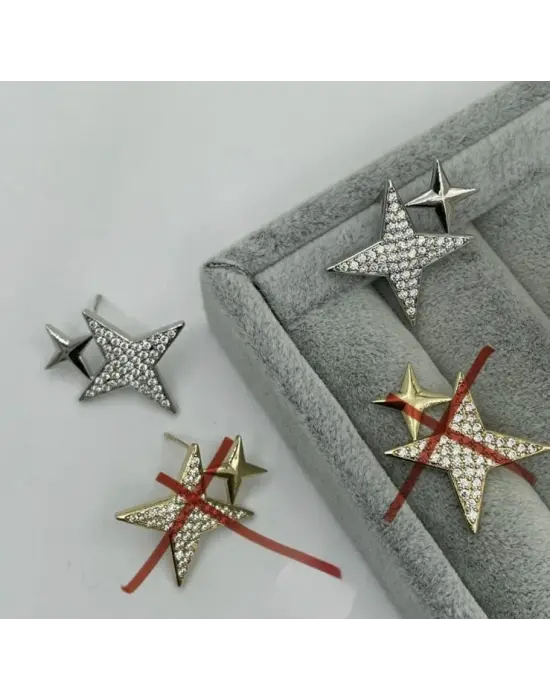 Çift Yıldızlı Taşlı Gümüş Kadın Küpe