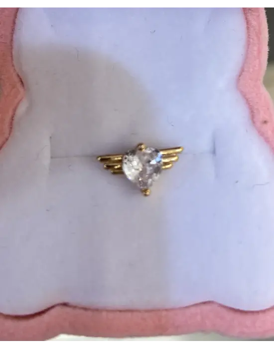 Kalpli Açılan Kanat Görünümlü Kıkırdak Piercing Altı Toplu