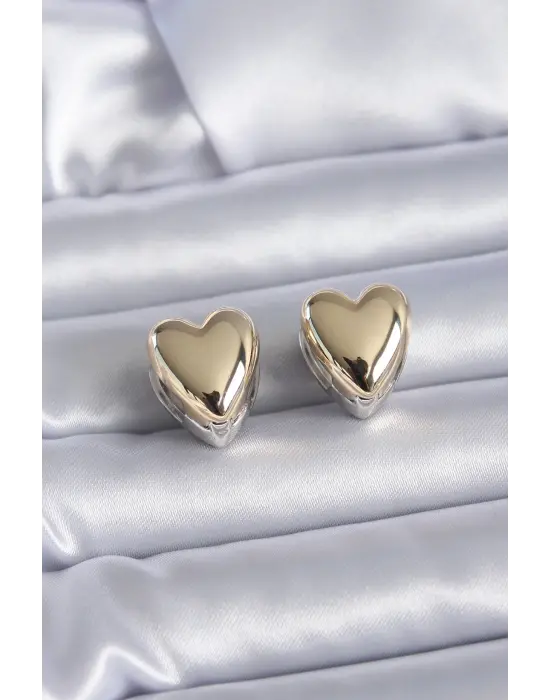 Mix Renk Kalp Model  Çelik Küpe