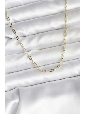 14K Gold Renk Kaplama Ataç Zincir Model CM Kadın Kolye