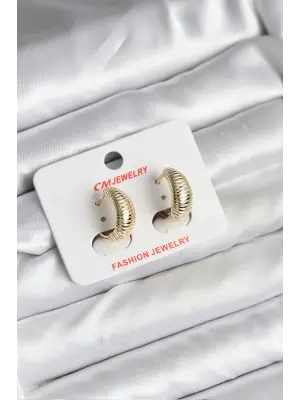 14K Altın Kaplama Burgu Sarmal Model Çelik Kadın Küpe