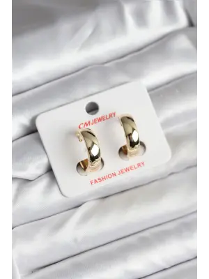 14K Gold Kaplamalı Halka Model Çelik Kadın Küpe