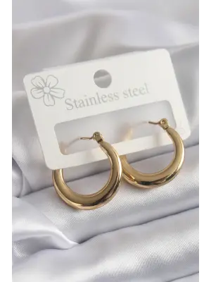   Altın Halka Model Çelik Küpe