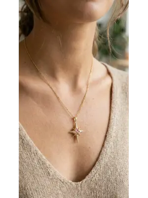 316L Çelik Gold Renk Zirkon Taşlı Kutup Yıldızı Model Kadın Kolye