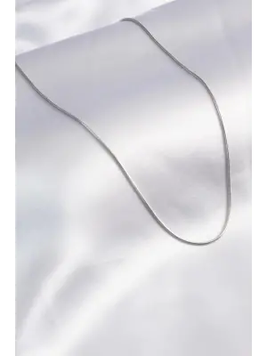 316L Çelik Gümüş Renk 60 cm Yılan Model Kadın Kolye