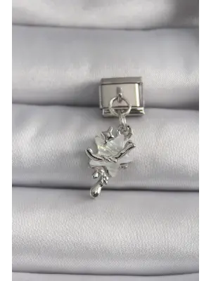 316L Çelik Gümüş Renk Beyaz Sedefli Sallantı Yıldız Model Nomination Charm