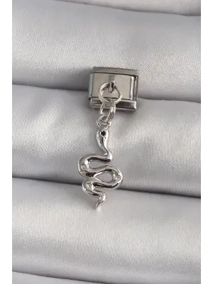 316L Çelik Gümüş Renk Sallantı Yılan Model Nomination Charm