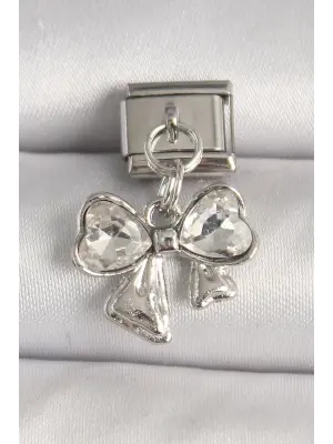 316L Çelik Gümüş Renk Zirkon Taşlı Fiyonk Model Nomination Charm