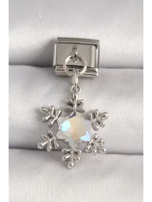 316L Çelik Gümüş Renk Zirkon Taşlı Kar Tanesi Model Nomination Charm