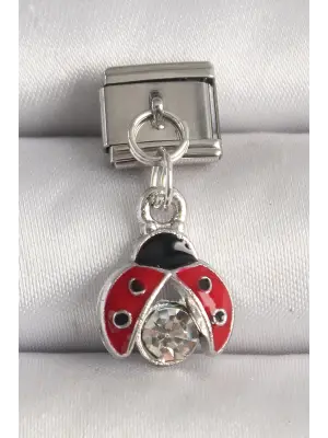 316L Çelik Gümüş Renk Zirkon Taşlı Uğur Böceği Model Nomination Charm