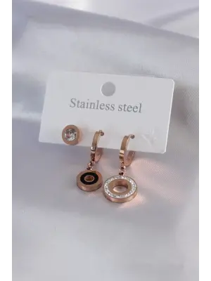 316L Çelik Rose Renk Daire Model Zirkon Taş Detay Kadın Küpe Kombini