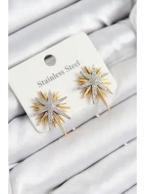 316L Çelik Zirkon Taşlı Kutup Yıldızı Model Gold Ve Gümüş Renk Kadın Küpe