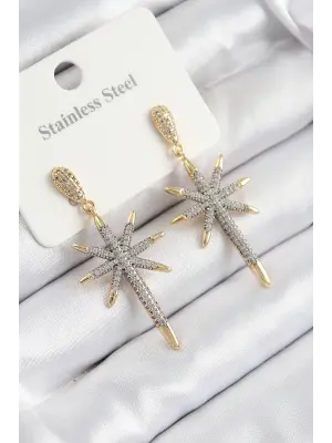 316L Çelik Zirkon Taşlı Pusula Yıldızı Model Gold Ve Gümüş Renk Kadın Küpe