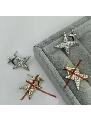 Çift Yıldızlı Taşlı Gümüş Kadın Küpe