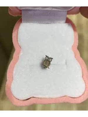Baykuş Model Kıkırdak Bölgesi İçin Kulak Piercing