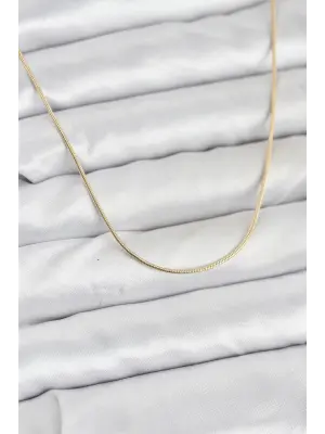 CM 14K Gold Renk Yılan Zincir Model Kadın Kolye