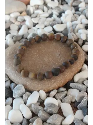 Mat Kaplan Gözü Doğal Taş Erkek Bileklik