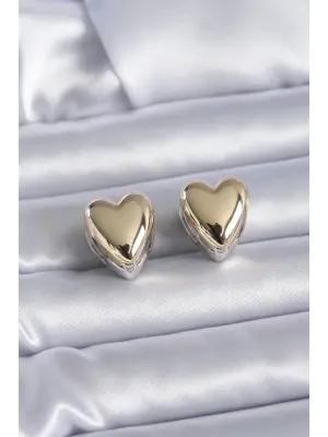 Mix Renk Kalp Model  Çelik Küpe