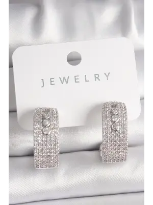 Gümüş Zirkon Taşlı Halka Messika Model Çelik Küpe