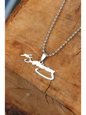 Silver Renk Çelik Atatürk İmza Uçlu Top Zincirli Erkek Kolye