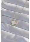  Altın  Beyaz Sedefli Yonca Çelik Kolye