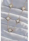  Altın  Beyaz Sedefli Yonca Çelik Kolye