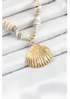 316L Çelik Gold Renk Deniz Kabuğu Modelli Kadın Kolye