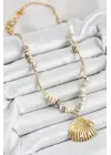 316L Çelik Gold Renk Deniz Kabuğu Modelli Kadın Kolye
