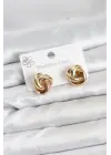 316L Çelik Gold Renk Sarmal Model Kadın Küpe