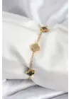 316L Çelik Gold Renk Siyah ve Zirkon Taşlı Baby Boy Yonca Kadın Bileklik