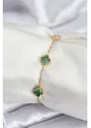 316L Çelik Gold Renk Yeşil Baby Boy Yonca Kadın Bileklik