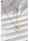 316L Çelik Gold Renk Zincir Zirkon Taşlı Beyaz Mineli Deniz Yıldızı Model Kadın Kolye